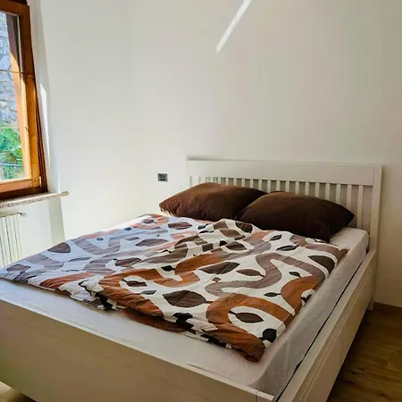 Hamburg 提尼亚类