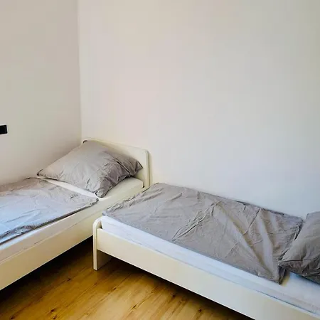 Hamburg 提尼亚类