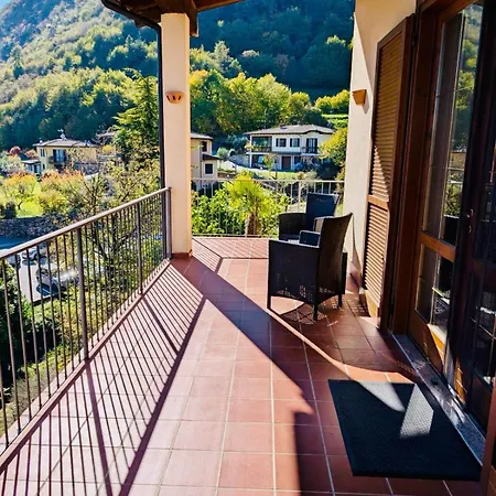 Hamburg 提尼亚类