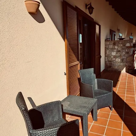 Hamburg 提尼亚类