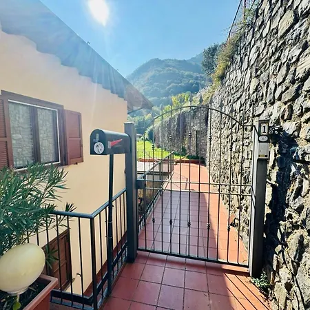 Hamburg * 提尼亚类