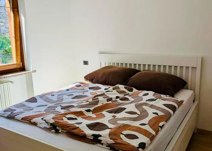 Hamburg 提尼亚类