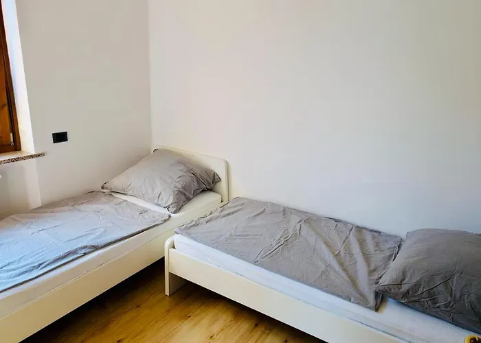 Hamburg 提尼亚类