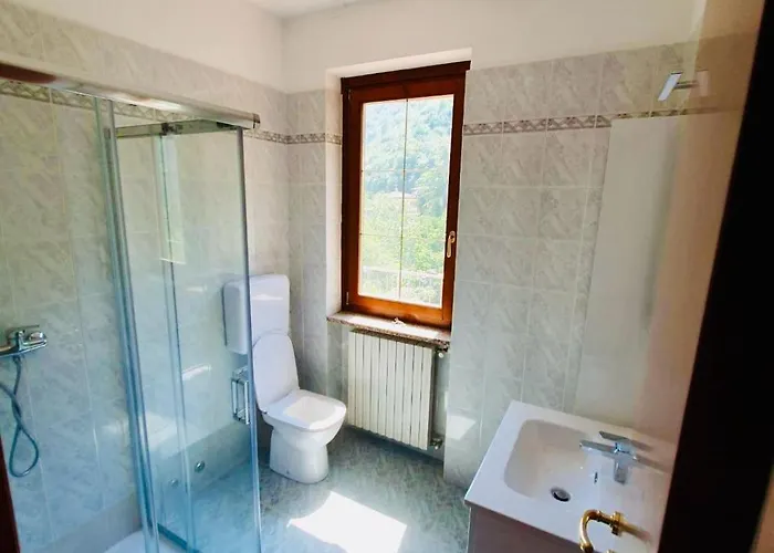 Hamburg * 提尼亚类