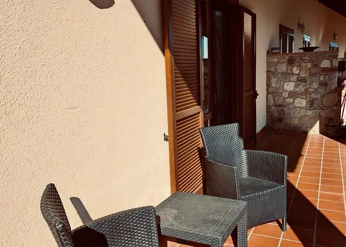 Hamburg 提尼亚类