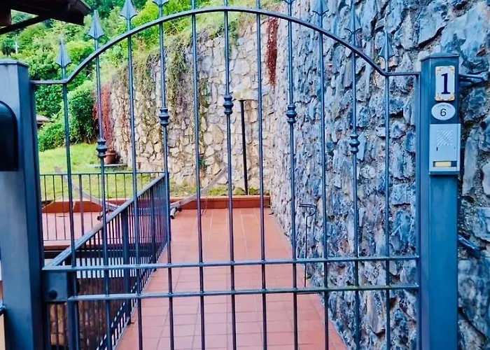 Hamburg 提尼亚类