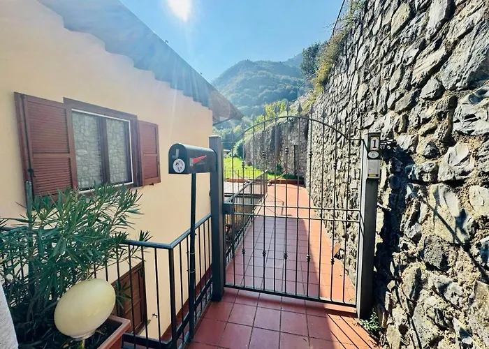 Hamburg * 提尼亚类