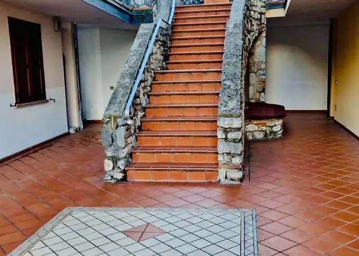 Hamburg 提尼亚类