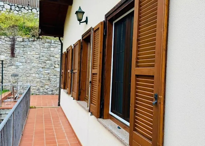 Hamburg * 提尼亚类